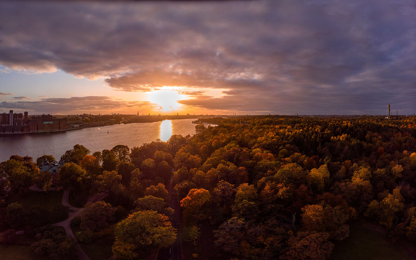 Djurgården in gold and brown colours from above.