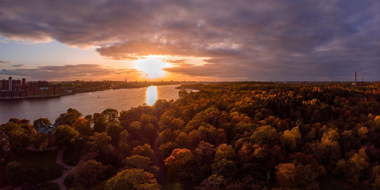 Djurgården from above.